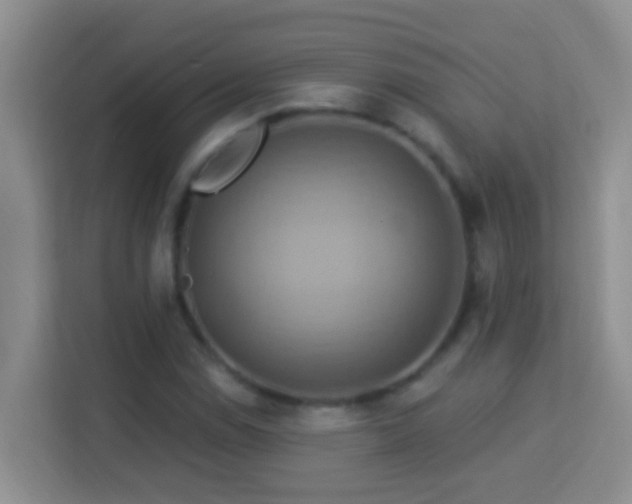 X0000114101114200910051439