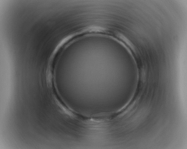 X0000114101115200910051439