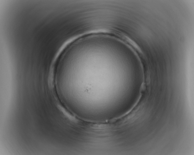 X0000114101116200910051439