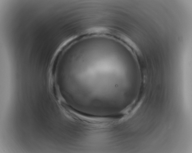 X0000114101117200910051439