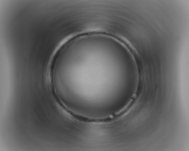 X0000114101118200910051439