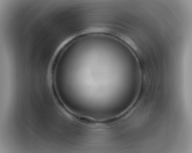 X0000114101119200910051439