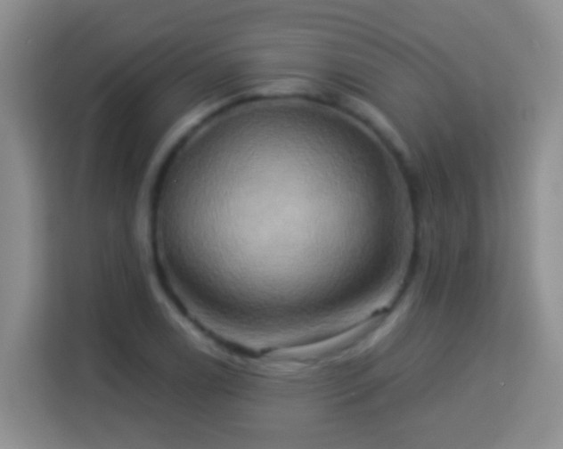 X0000114101122200910051439