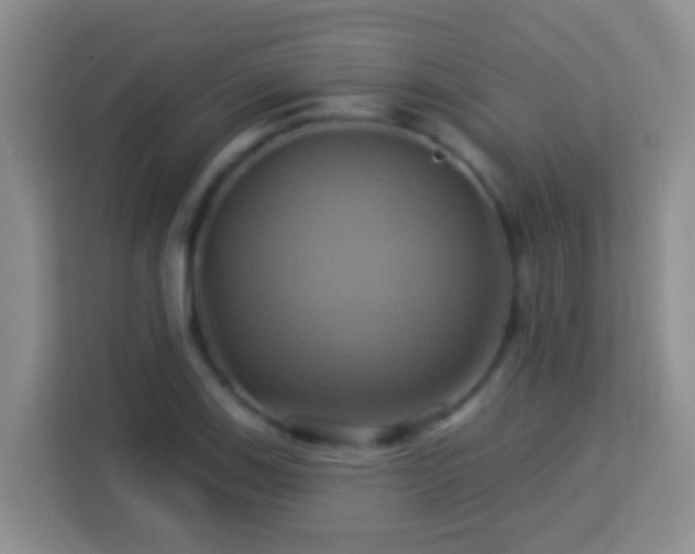 X0000114101123200910051440