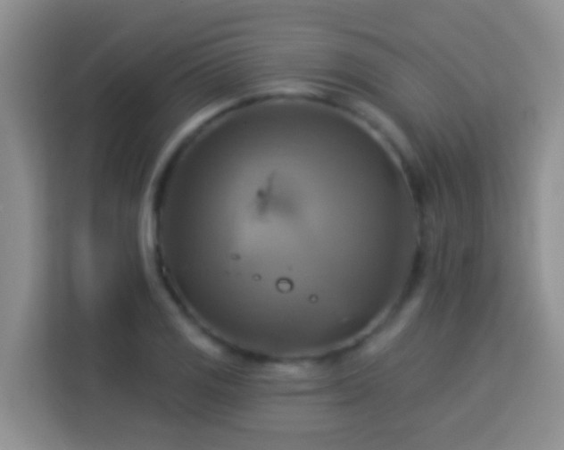 X0000114101125200910051440