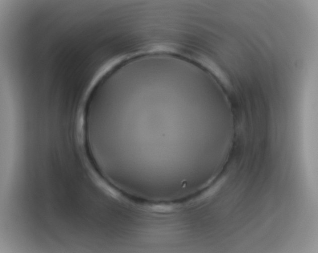 X0000114101126200910051440