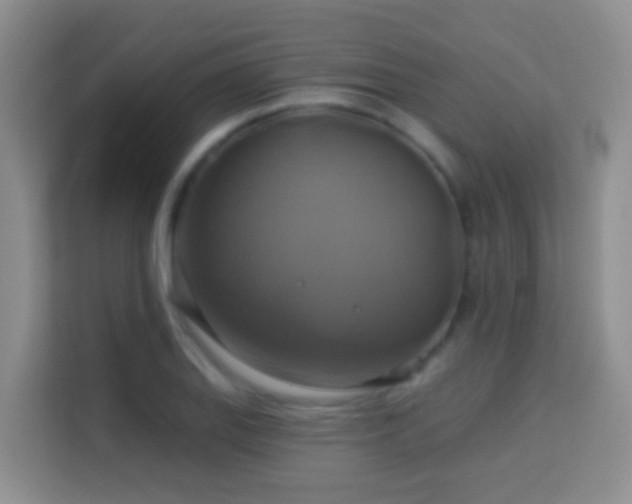 X0000114101127200910051440