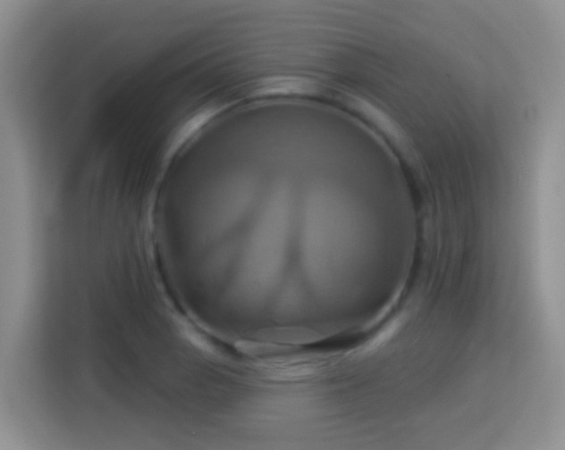 X0000114101129200910051440