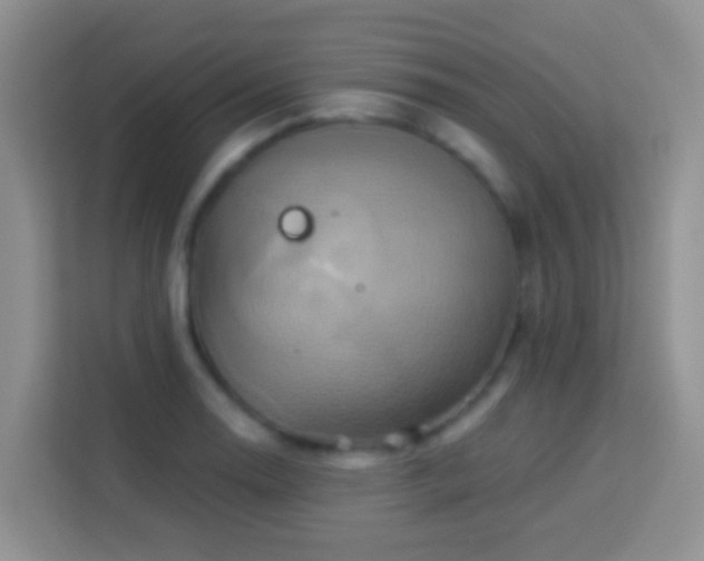 X0000114101130200910051440