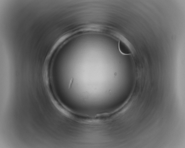 X0000114101131200910051440