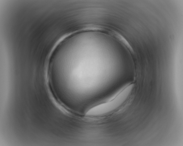 X0000114101132200910051440