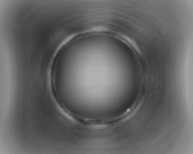 X0000114101134200910051440