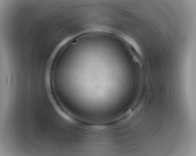 X0000114101136200910051440