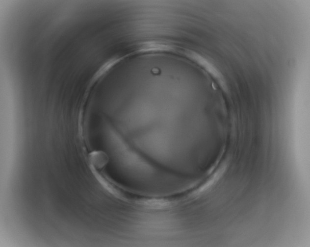 X0000114101137200910051440