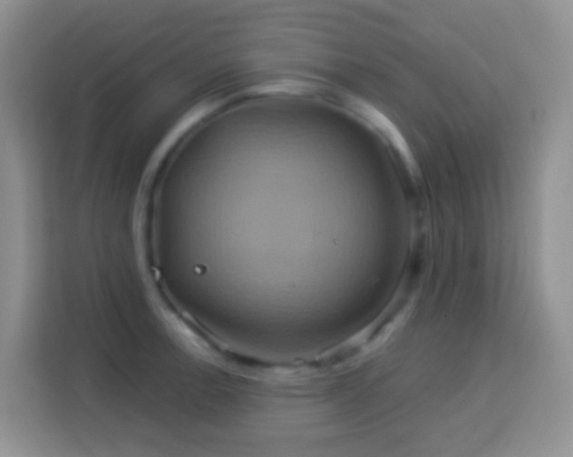 X0000114101138200910051440