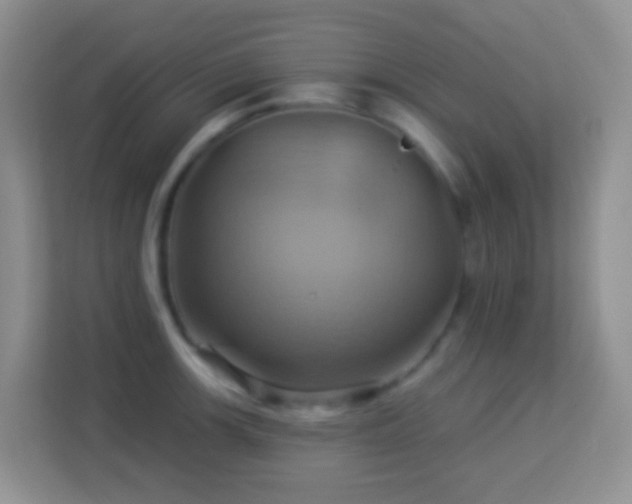 X0000114101139200910051440