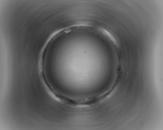 X0000114101140200910051440