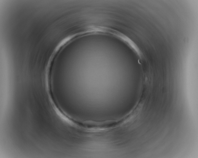 X0000114101143200910051440