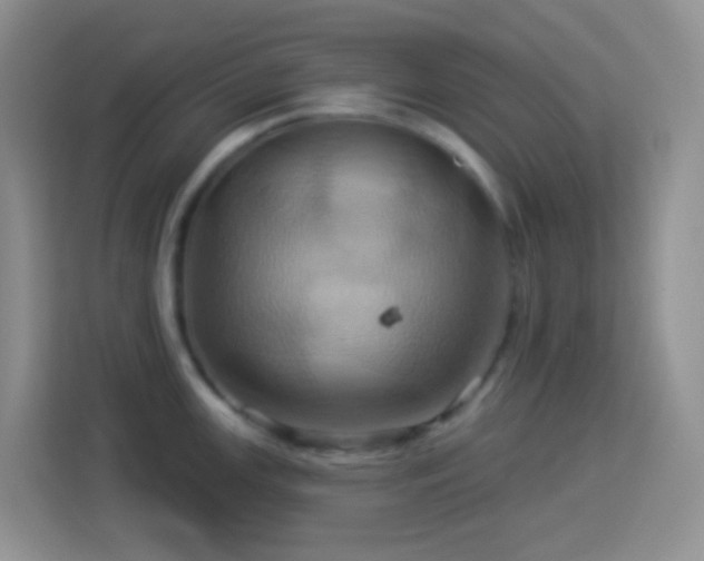 X0000114101147200910051440