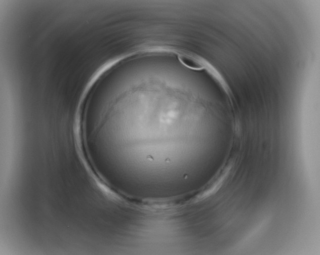 X0000114101149200910051440