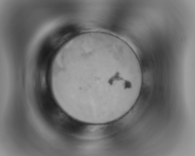 X0000114101150200910051440