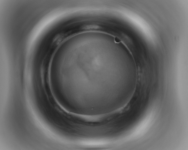 X0000114101151200910051440