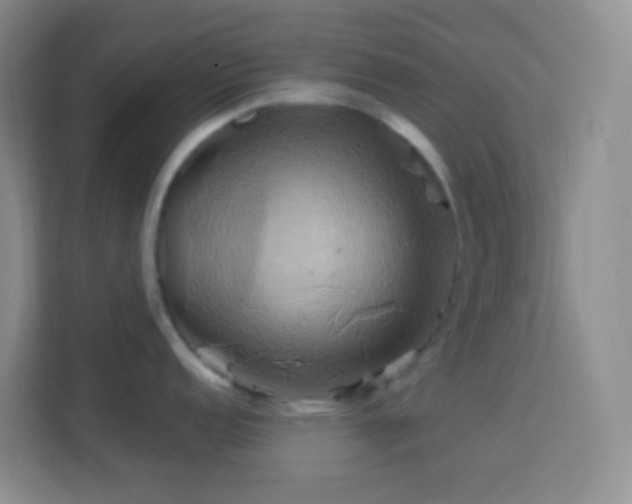 X0000114101152200910051440