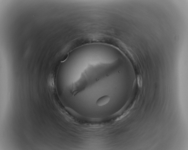 X0000114101155200910051439