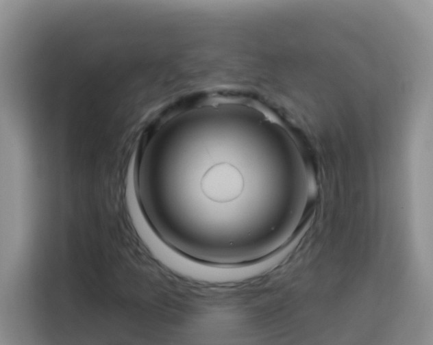 X0000114101157200910051439