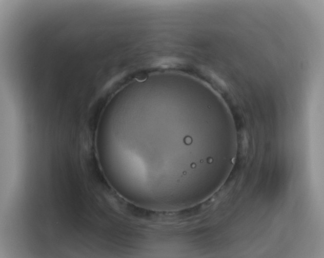 X0000114101158200910051439