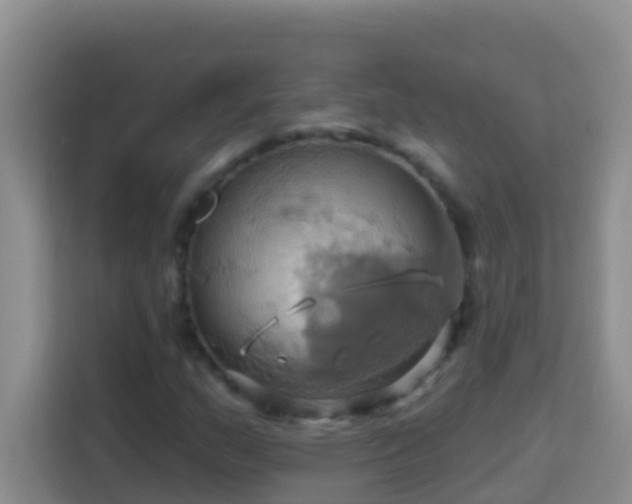 X0000114101159200910051439