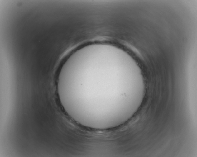 X0000114101160200910051439