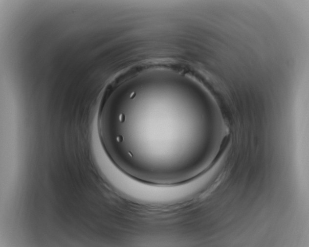 X0000114101161200910051439