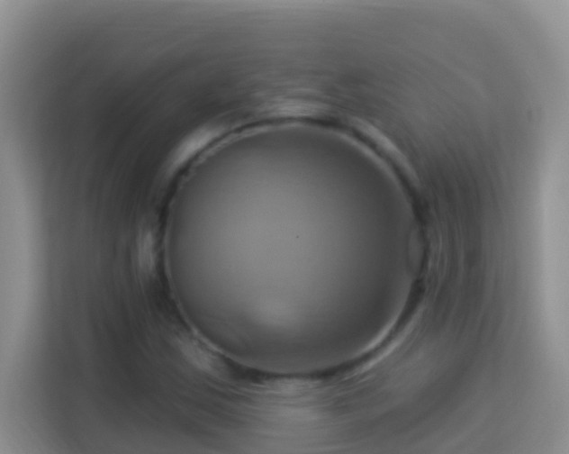 X0000114101163200910051439