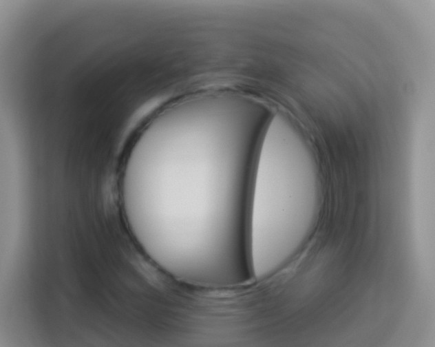 X0000114101164200910051439