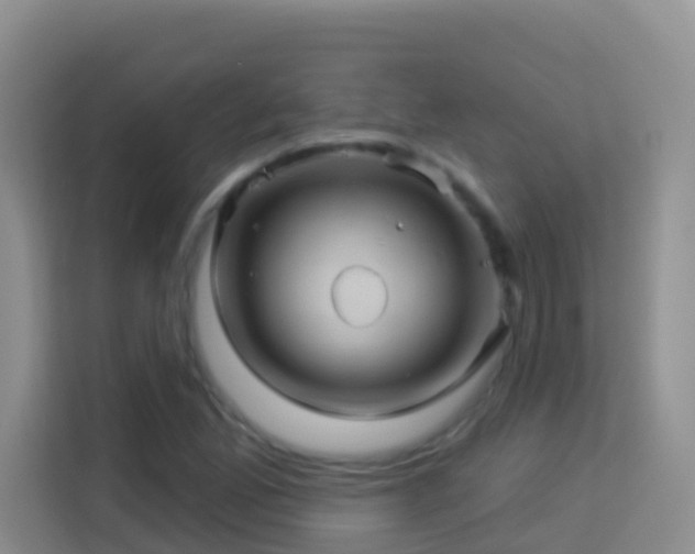 X0000114101165200910051439