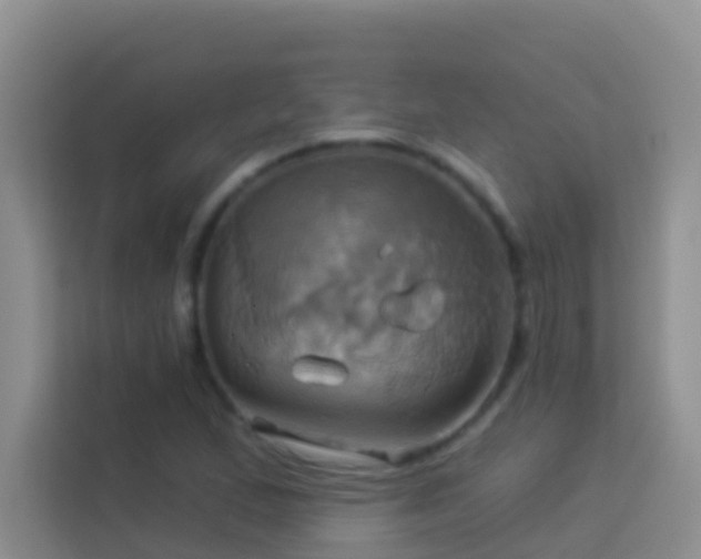 X0000114101167200910051439