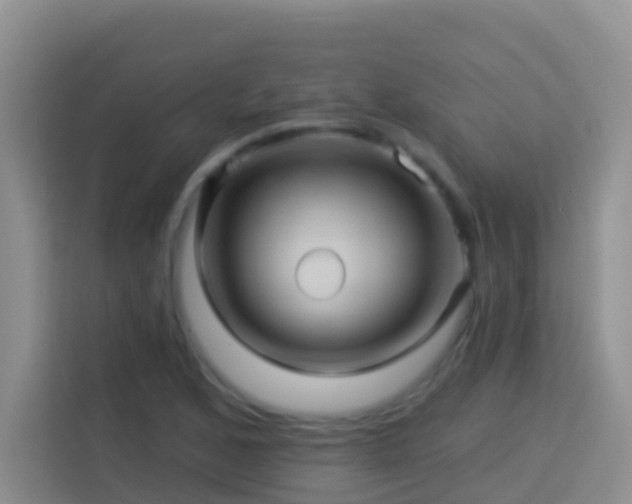 X0000114101168200910051439