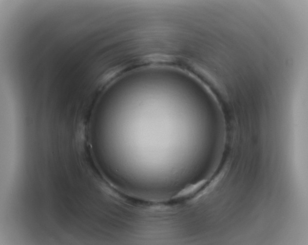 X0000114101169200910051439