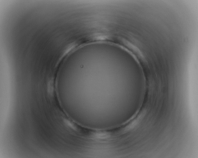 X0000114101170200910051439