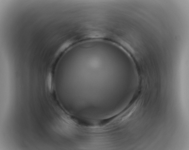 X0000114101171200910051439