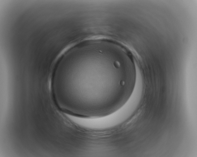 X0000114101173200910051439