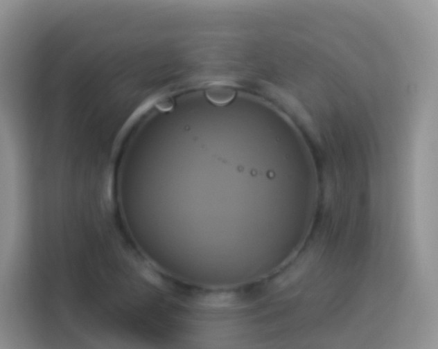 X0000114101174200910051439