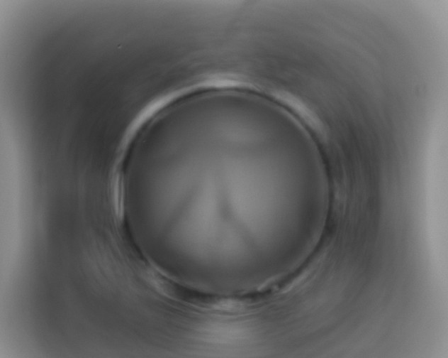 X0000114101175200910051439