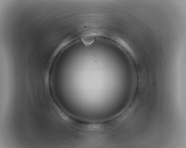 X0000114101181200910051439