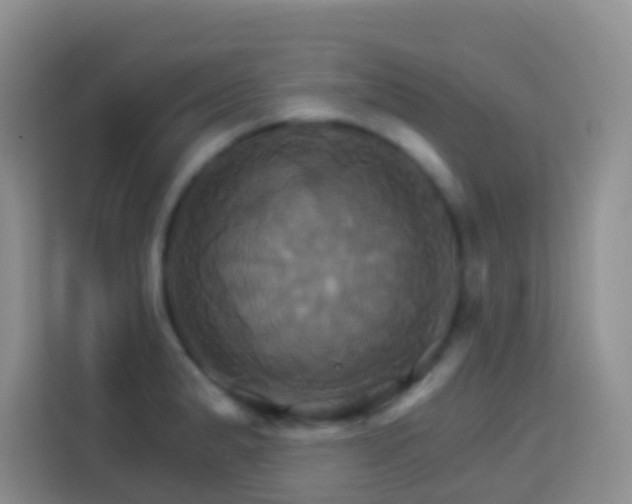 X0000114101183200910051439