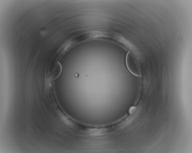 X0000114101185200910051439