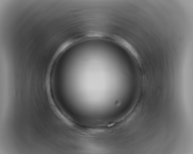 X0000114101187200910051439