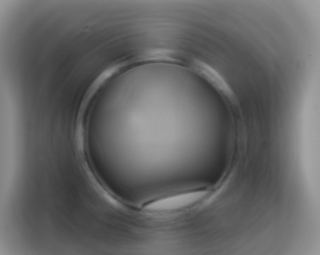 X0000114101188200910051439