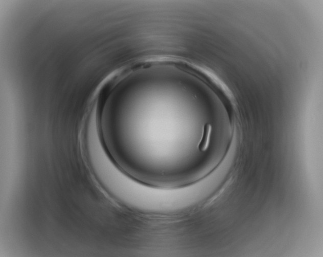 X0000114101189200910051439